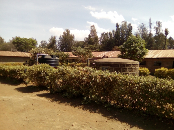 School Location