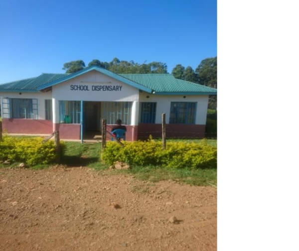 Administrative structure and Teaching Staff